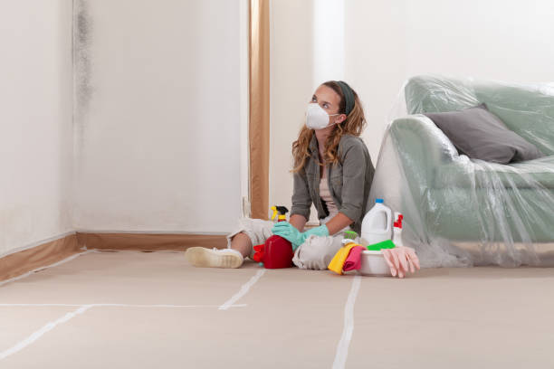Reliable Mold Remediation contractor in Fallston, MD by WQB Mold Removal